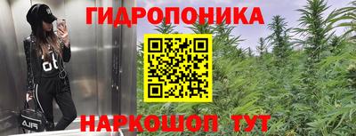 ALPHA-PVP Новозыбков