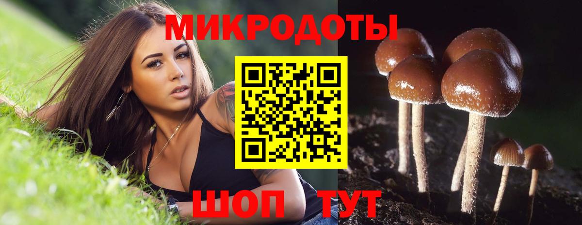 Спасск-Дальний  Галлюциногенные грибы ЛСД  Вход с VPN 